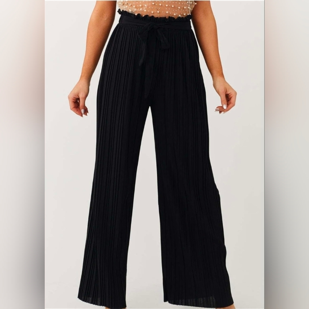 Capella Pleate Wide Leg Pants Med